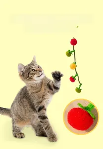 Detail of colorful catnip felt toys with tomato shape and bells for interactive play