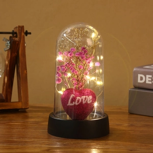 LED Valentine Night Light with Red Heart Love Sign and Pink Dried Flowers in Plastic Dome