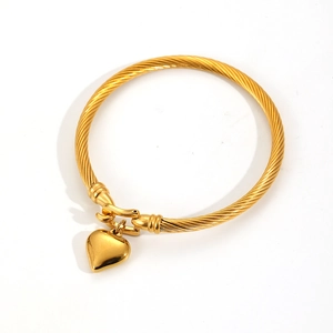 Titanium steel gold twisted rope bracelet with a polished heart pendant on white background