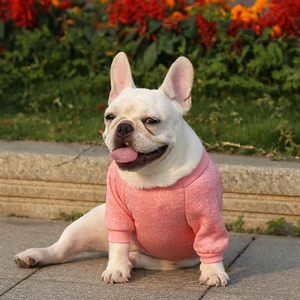 Pink knitted pet sweater for small dogs with ribbed cuffs shown in outdoor natural light