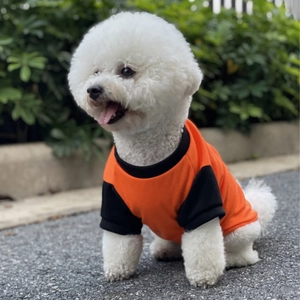 Close-up of orange and black patchwork cotton dog t-shirt on a white Bichon dog