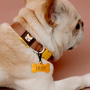 Detail van de bruin geweven hondenhalsband en gele botvormige hanger op een hond