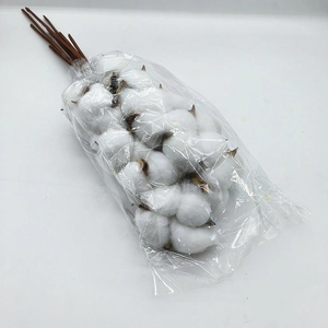 Nahaufnahme von natürlichen getrockneten Baumwollzweigen in einer Klarsichtverpackung