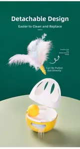 Detail view of the detachable parts and feather accessory for the tumbler cat toy