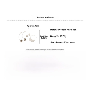Detailed spec sheet showing acrylic petal earrings size 6.5x4cm with silver pins