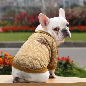 Detail of ginger yellow knitted pet sweater with classic leather tag on white bulldog