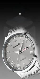 Macro detail of silver automatic watch dial with dual calendar and Roman numerals