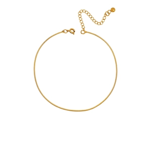 Minimalist Snake Bone Chain Anklet Titanium Steel Gold Plated Adjustable Foot Jewelry Fashion Accessory For Women