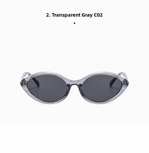 Detail view of oval cat-eye sunglasses in transparent grey frame with C02 tint