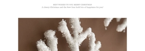 Macro view of white glittered snowflake ornament with textured crystalline finish details