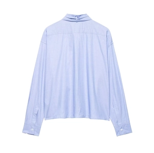 Light blue long sleeve shirt for women featuring a back pleat detail and flat lay view
