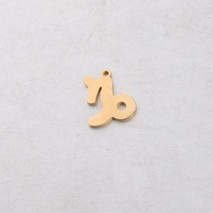 Macro shot of 15mm mirror polished gold Capricorn zodiac charm for DIY jewelry making