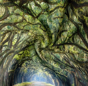 Detailed view of high-quality polyester fabric texture with green forest print tapestry