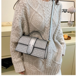 Silver-grey woven texture on a structured crossbody bag with elegant gold hardware
