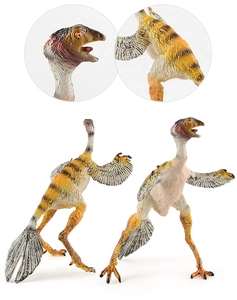 Detailed views of Dilophosaurus toy showing realistic feather textures and yellow stripes