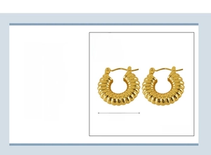 Detailed specs for 20mm 18K gold plated stainless steel spiral hoop earrings