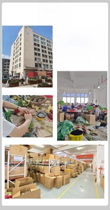 View of the professional factory facility featuring production workshop and warehouse storage