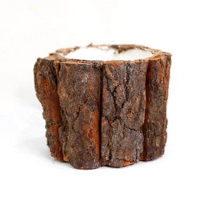 Natural tree bark decorative flower pot with rustic wooden texture for Christmas arrangements