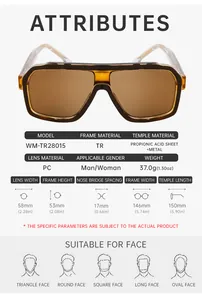Detailed view of square sunglasses showing 150mm temple length and TR frame dimensions