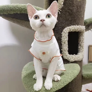 White cat lace T-shirt with orange wavy edges shown on a green cat tree in a home setting