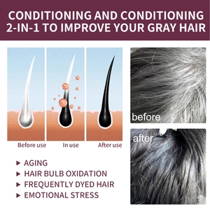 Illustration showing 3-stage hair follicle recovery and before-after grey hair reduction