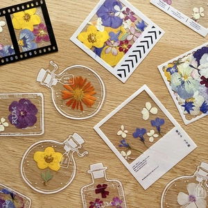 Transparent PET Vintage Bottle Stickers Dried Flower Aesthetic Plant DIY Scrapbooking Journaling Planner Decorative Supplies