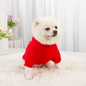 Bright red hooded dog hoodie in soft warm cotton worn by a white Pomeranian dog