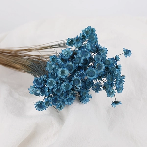 Dried blue star flowers bouquet on white fabric for DIY aromatherapy floral crafts