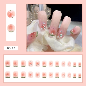 Gedetailleerde set roze verloop kunstnagels met bloemenpatroon en groene randen