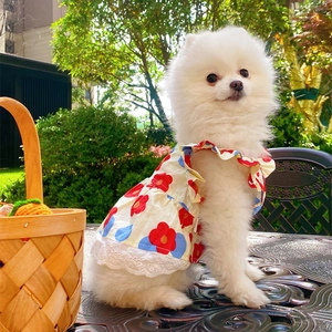 Detailed view of dog floral dress with red and blue prints and white lace trim