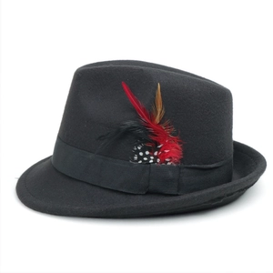 Detailed close-up of a black fedora hat featuring colorful feather accents and ribbed band