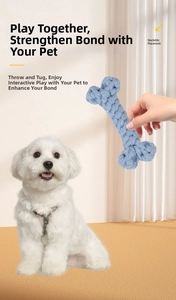 Close-up of a blue woven cotton rope bone toy being held by a white pet dog