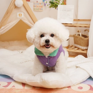 Detailed view of padded pet vest with purple and green contrast stitching and white buttons