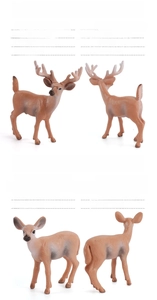 Detailed views of male and female whitetail deer figurines with size and weight metrics