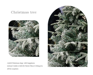 Vue détaillée d'aiguilles de pin floquées de neige sur un sapin de Noël blanc givré