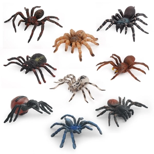 Set of 9 realistic spider model toys for kids including tarantula and funnel spider