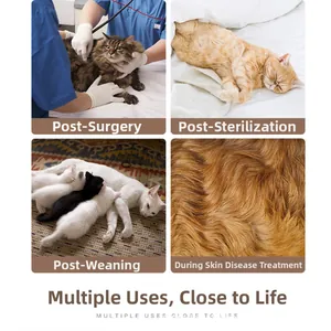Cat recovery suit showing surgical care, sterilization, weaning, and skin treatment scenes