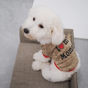 Detail of warm brown fleece dog sweater with I love my Mommy print on knit fabric