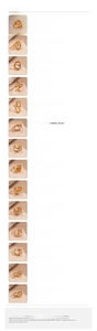 Detailed chart showing weights and dimensions for stainless steel zircon rings