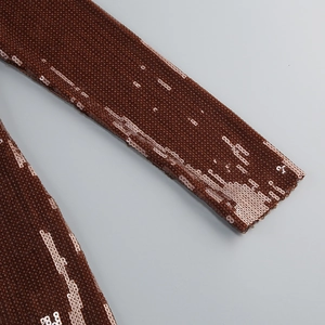 Close-up of brown sequin embroidery on long sleeve dress with detailed fabric texture