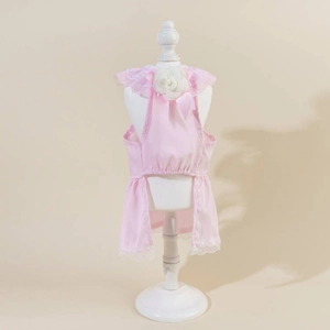 Detailed back view of a pink pet tutu dress with 3D rose and lace on white mannequin