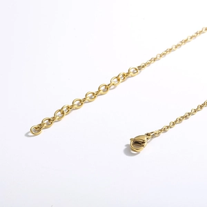 Close-up of gold titanium steel lobster clasp and extension chain on white background