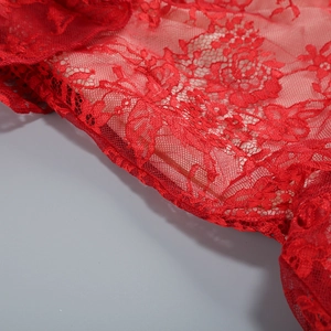 Close-up of red floral lace fabric showing fine stitching and transparent texture