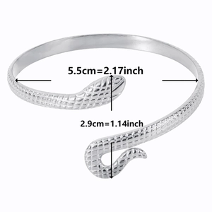 Macro shot of silver C-shaped snake bracelet showing scale texture and measurements