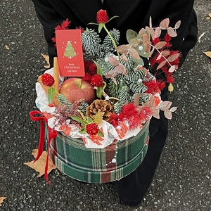 Christmas apple gift box with pine cones and red berries in a green plaid hat box