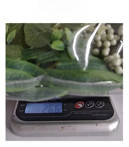 Artificial eucalyptus garland with white berries being weighed on a scale showing 26.6g