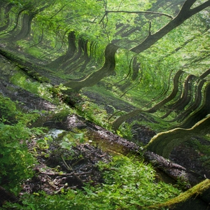 Dettaglio della trama del tessuto intrecciato con stampa vibrante di foresta verde
