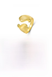 Detail view of wavy geometric S925 sterling silver ring with 18k gold plating