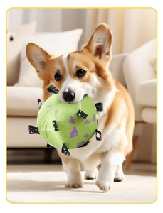 Corgi dog playing with a green plush soccer ball featuring durable black grab tabs