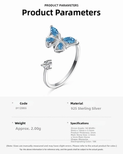 Detail view of S925 silver ring featuring blue marquise-cut zircon butterfly and white stones